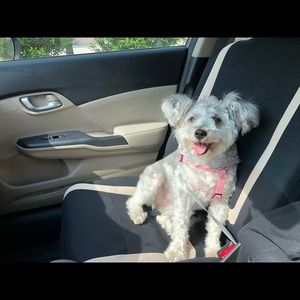 Meet your Posher, Laura